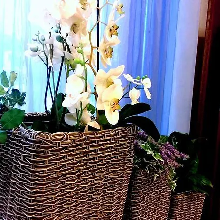 Bellevue 3* Каорле